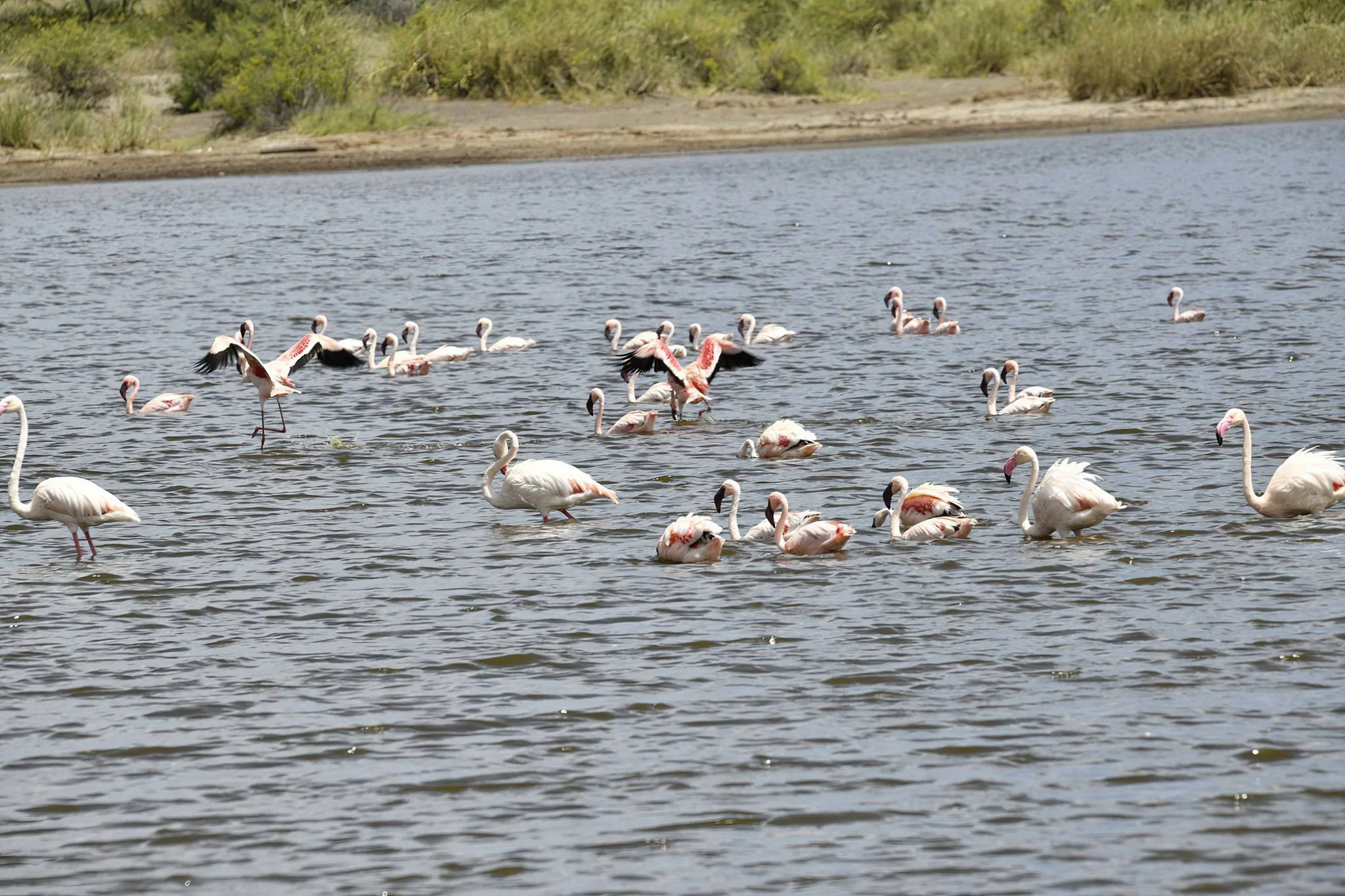 Ndutu Plains – photo 14