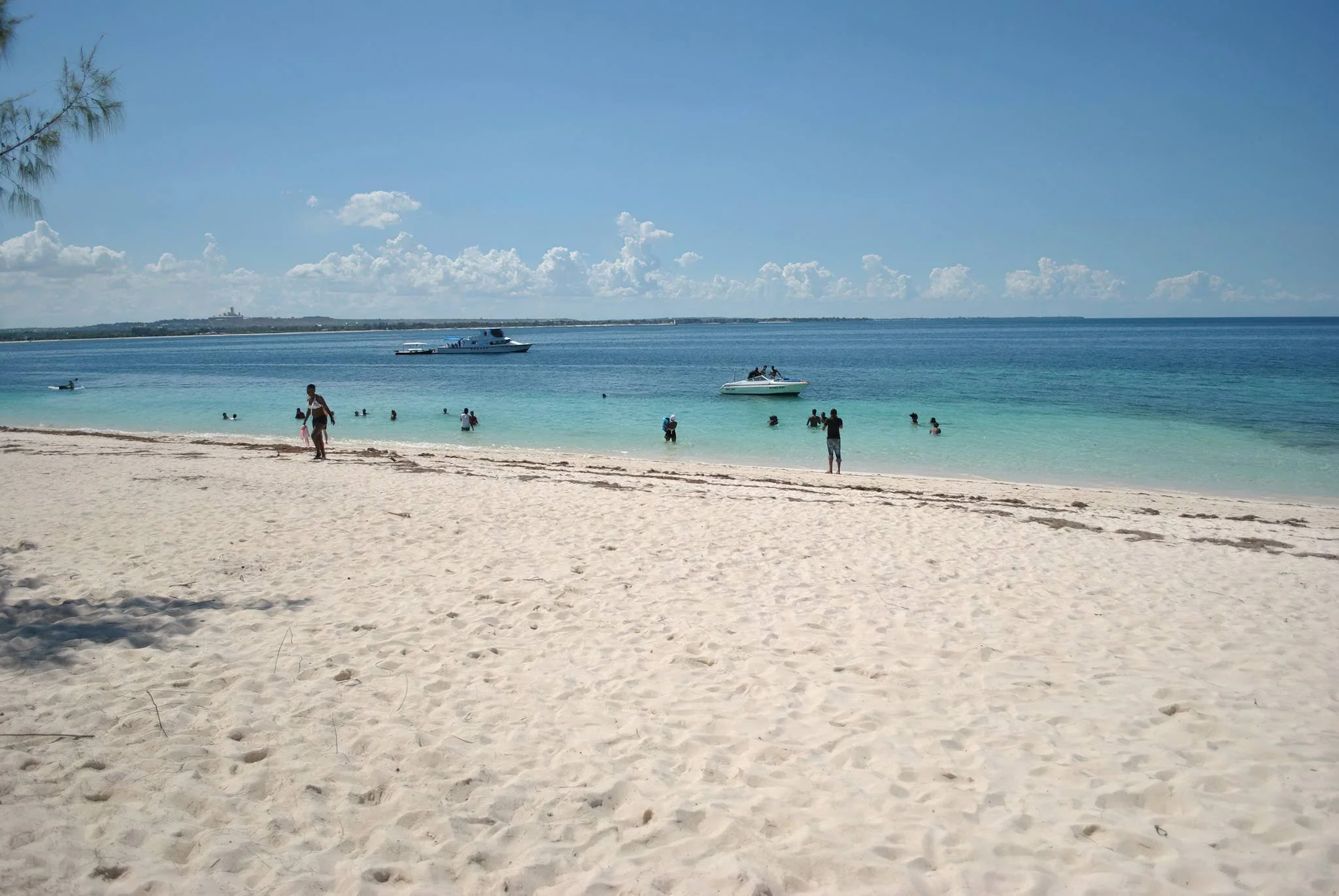 Mbudya Island Marine Reserve – photo 16