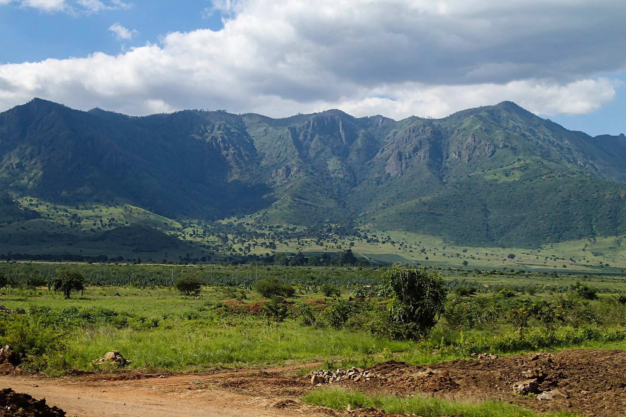 Pare Mountains – photo 6