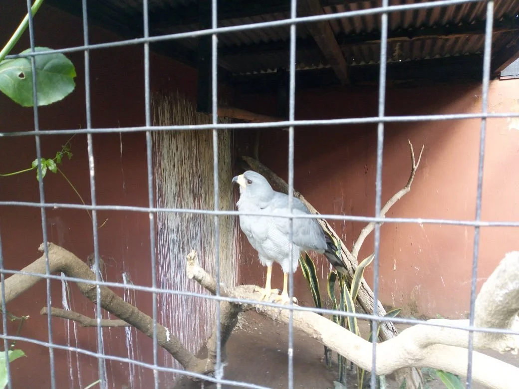 Arusha Snake Park – photo 8