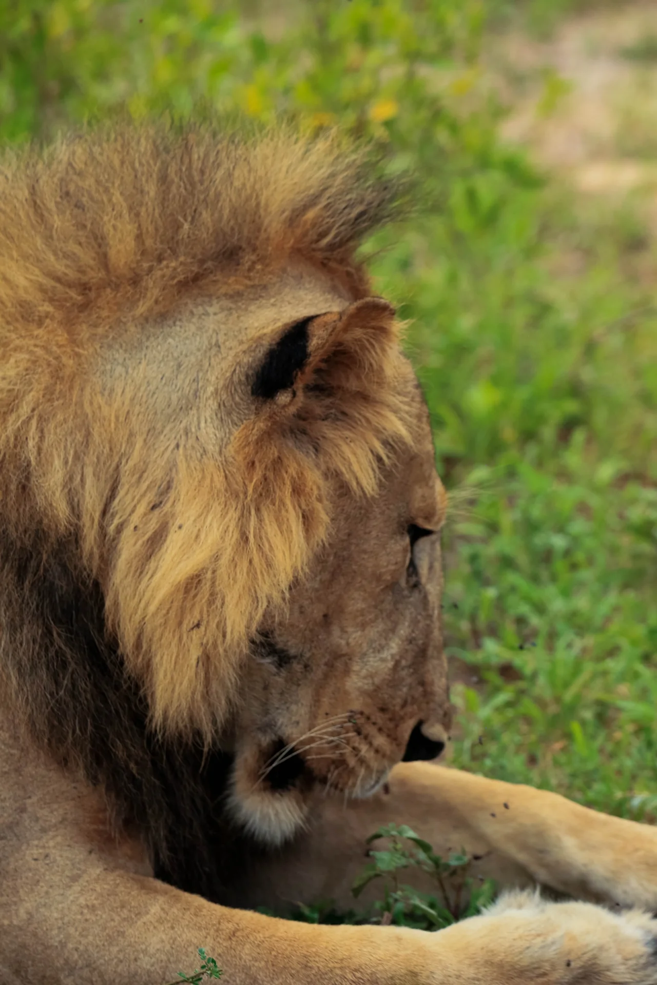 Western Serengeti – photo 7