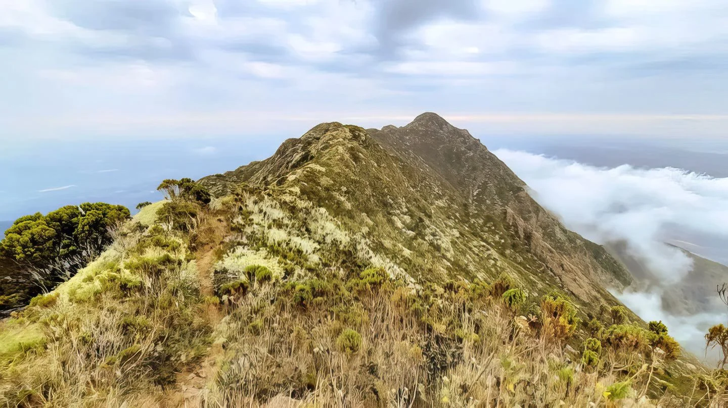 Mount Hanang – photo 8