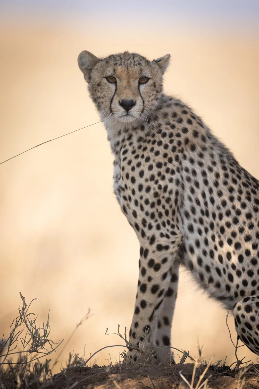 Serengeti National Park