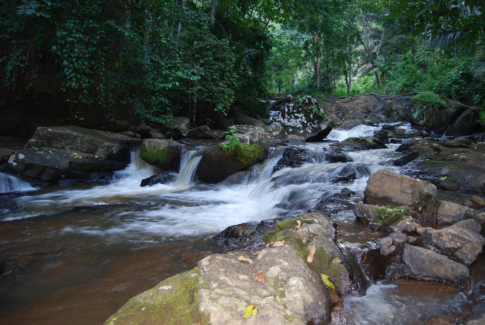 Usambara Mountains – photo 37