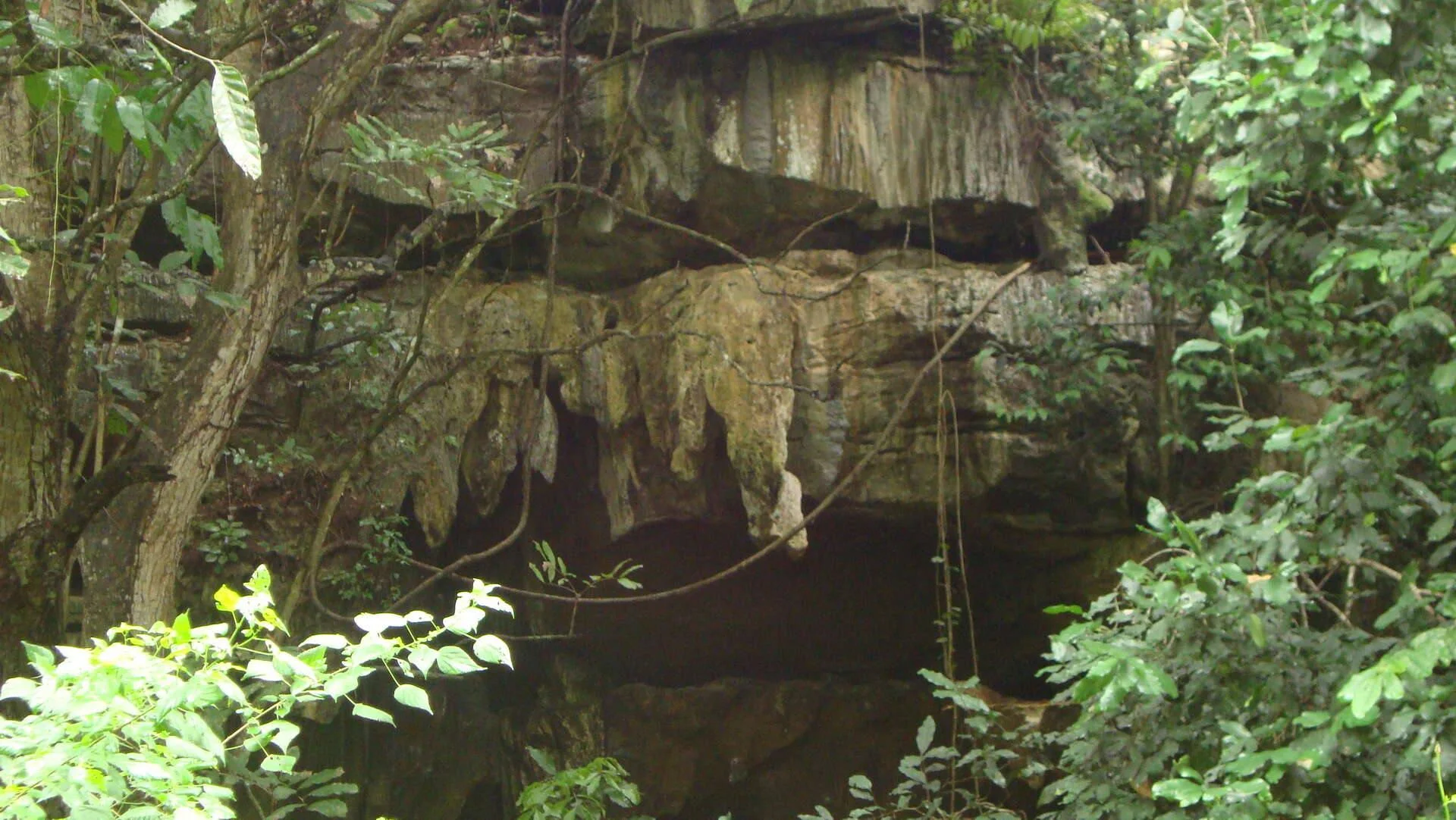 Amboni Caves – photo 17