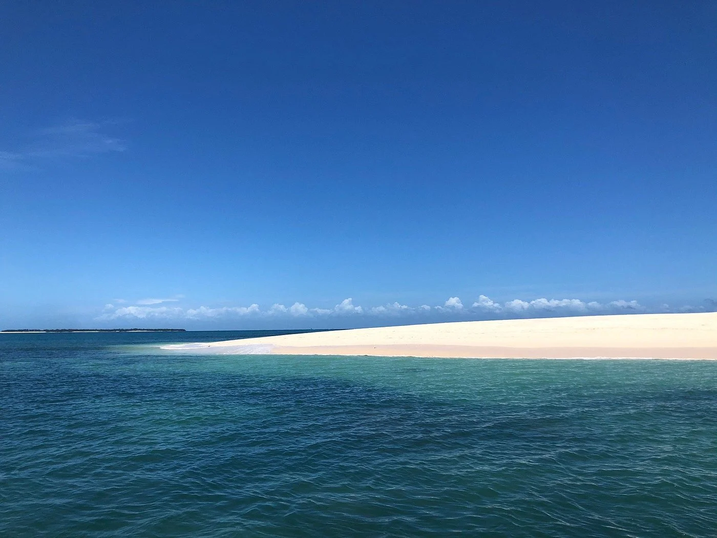 Bongoyo Island Marine Reserve – photo 14
