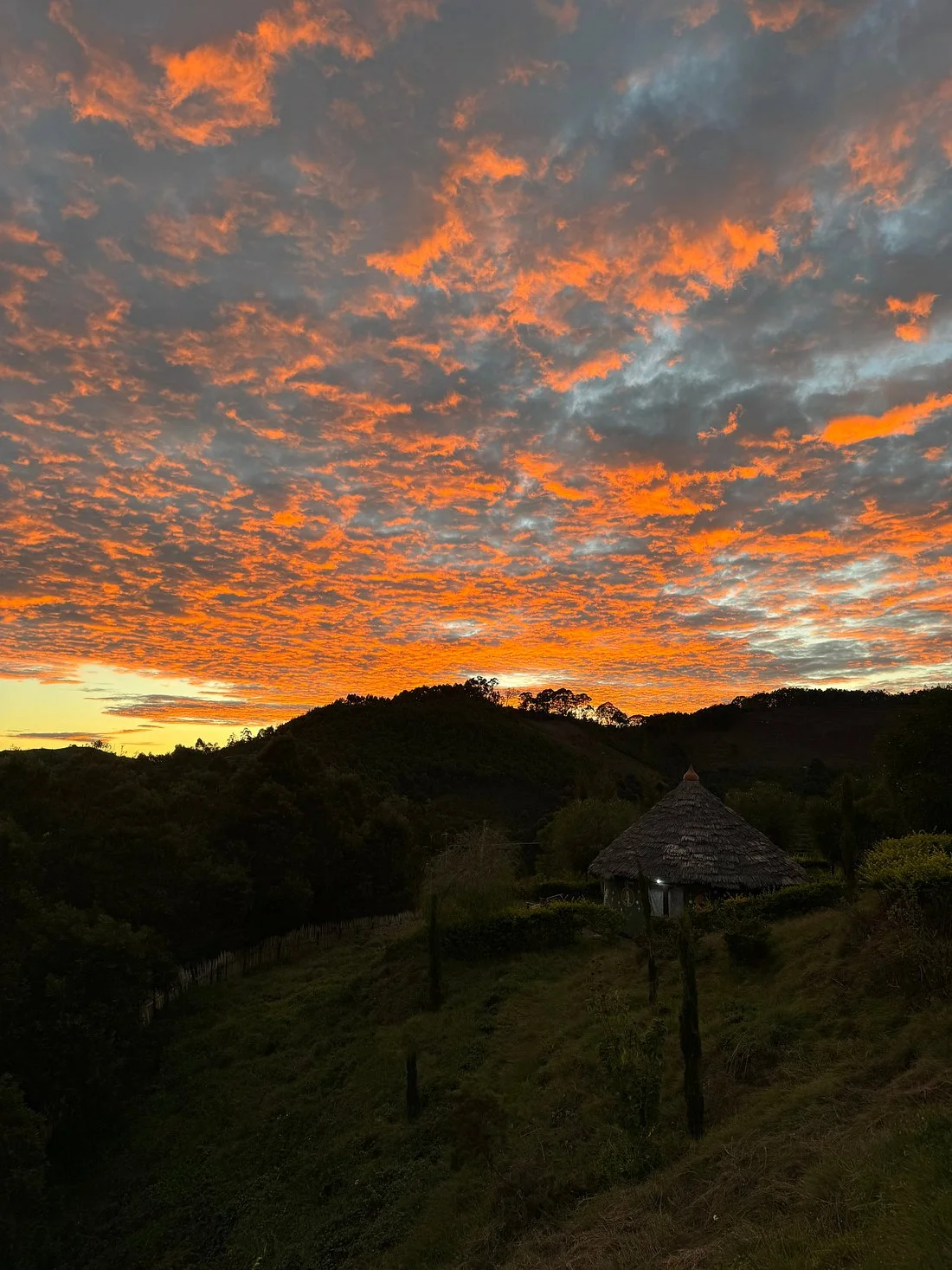 Usambara Mountains – photo 15