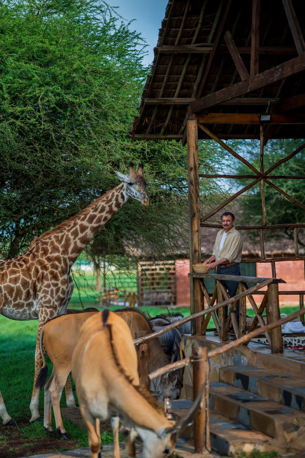 Serval Wildlife Sanctuary Tanzania