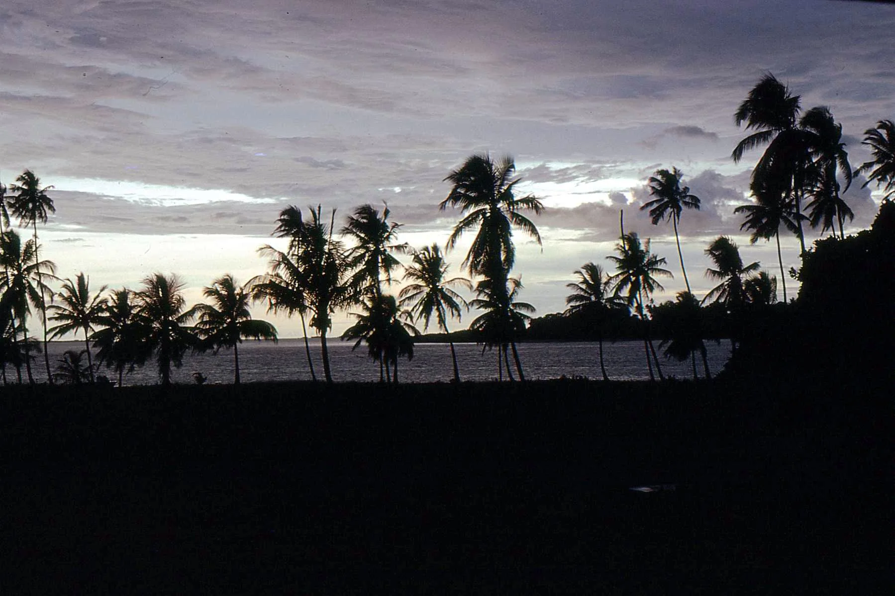 Mafia Island – photo 2