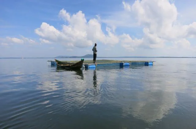 Lake Victoria – photo 17