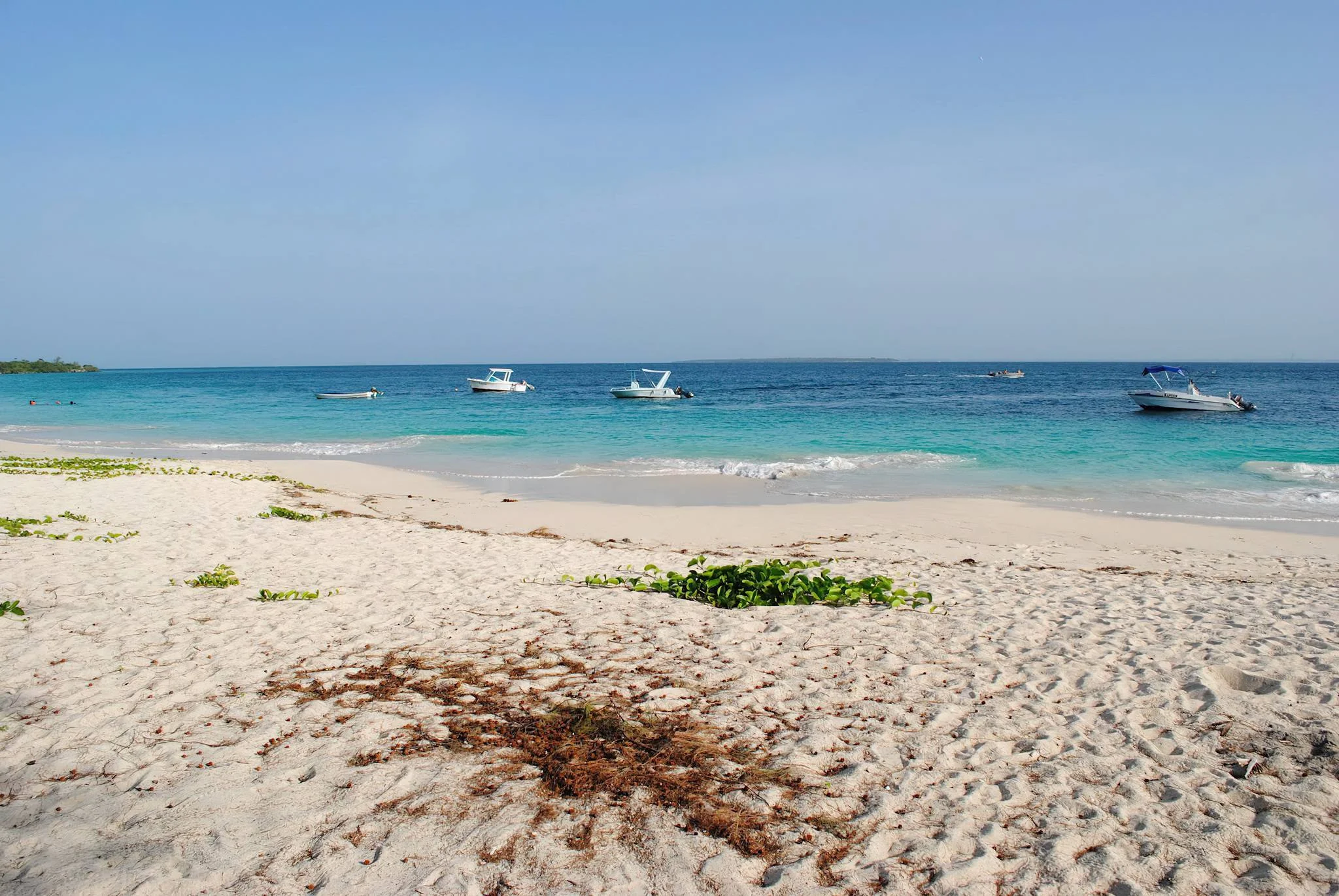 Mbudya Island Marine Reserve – photo 11