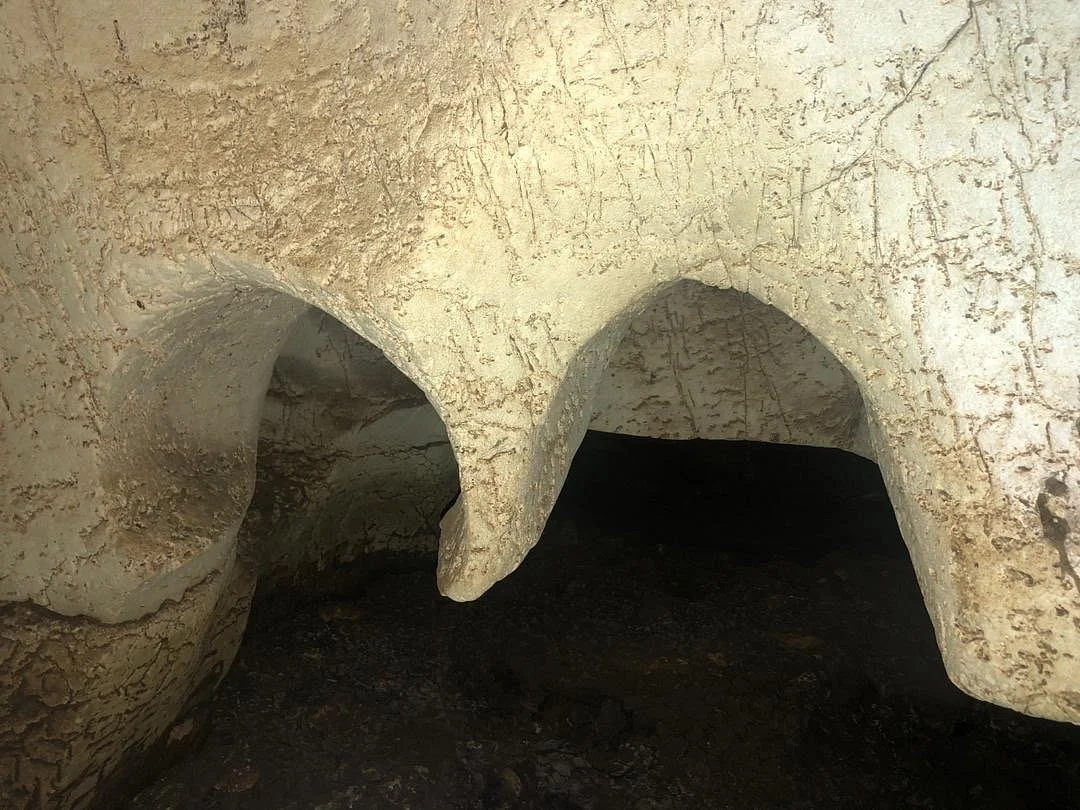 Amboni Caves – photo 16