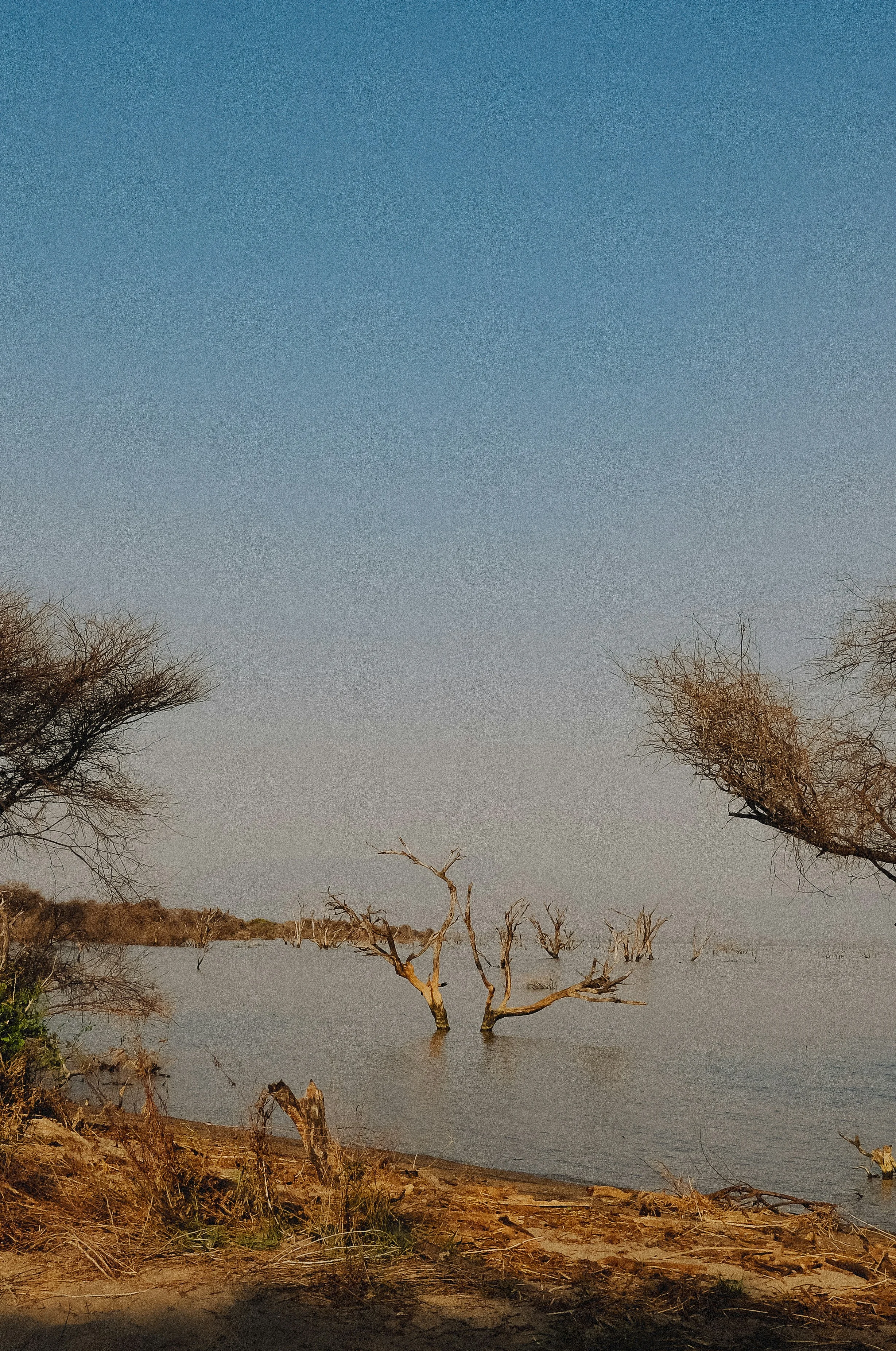 Lake Manyara National Park