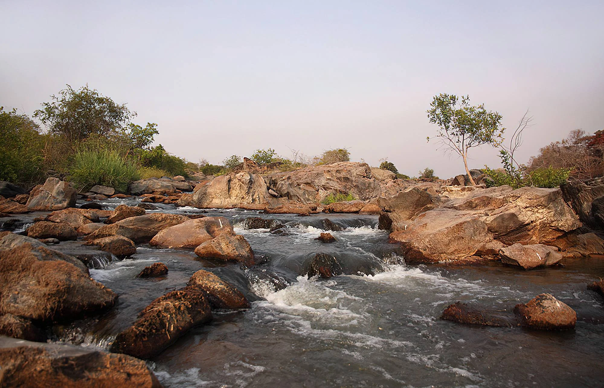 Katavi National Park – photo 18