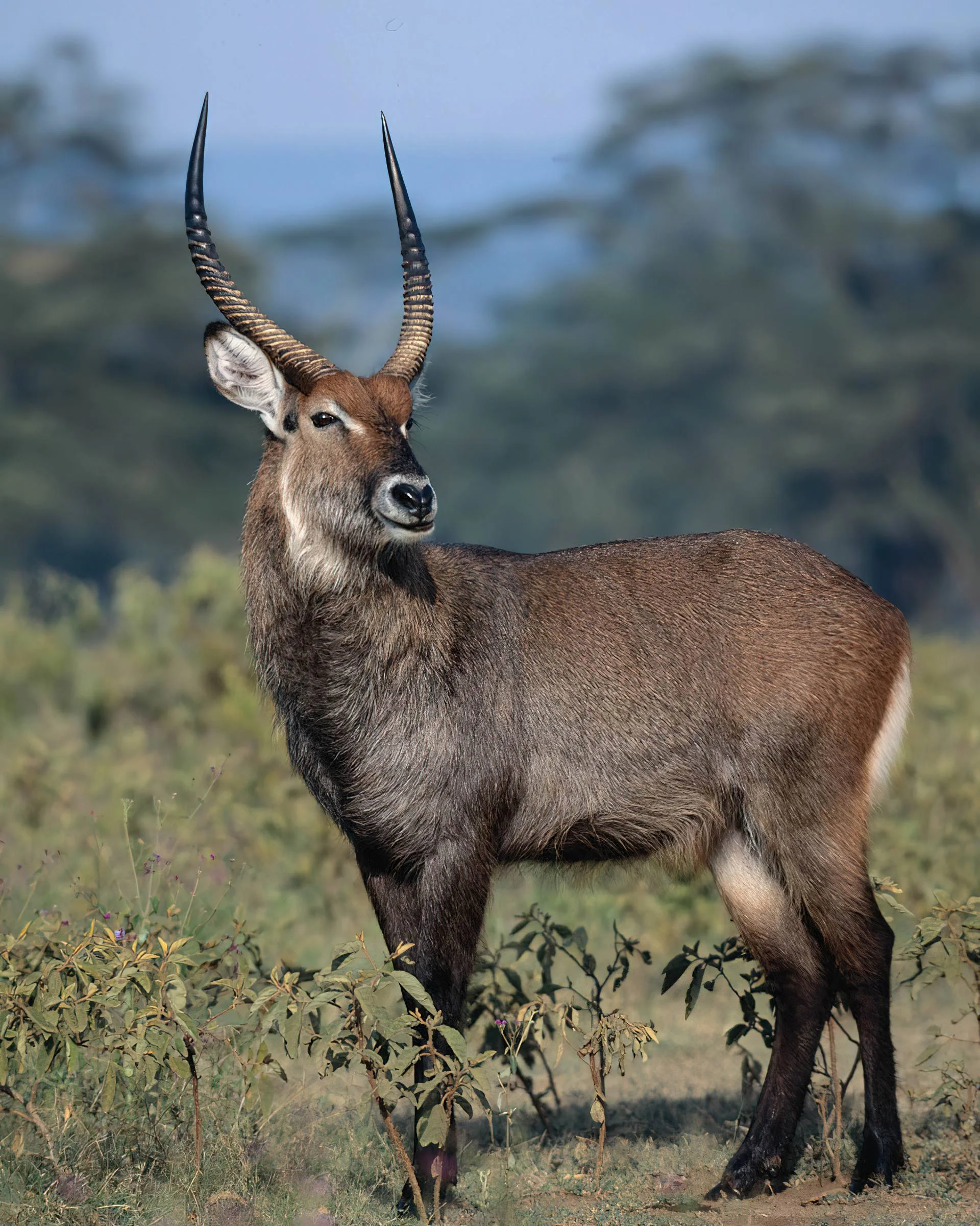 Ibanda-Kyerwa National Park – photo 13