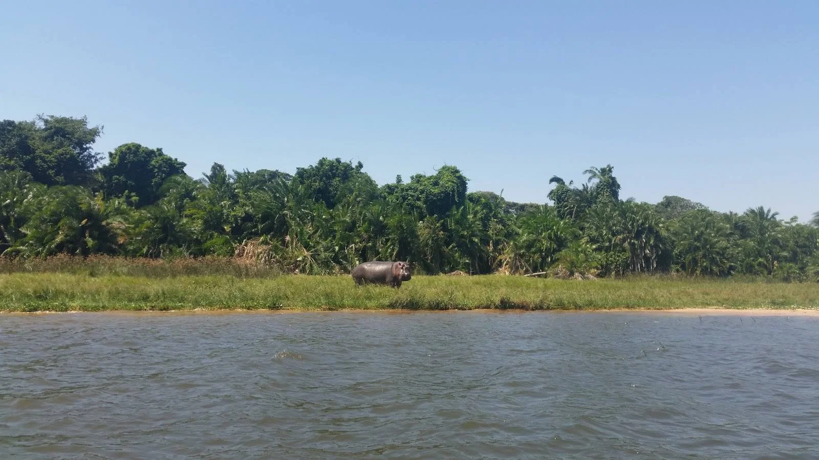 Rubondo Island National Park – photo 9