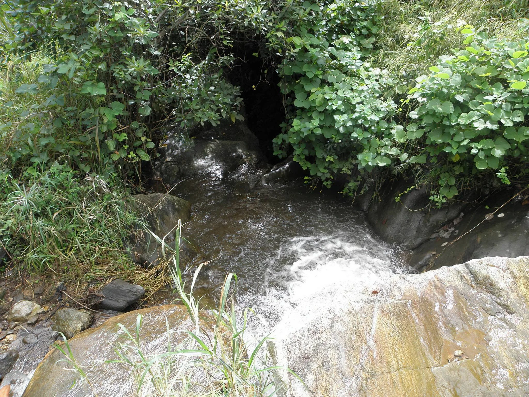 Uluguru Mountains – photo 37