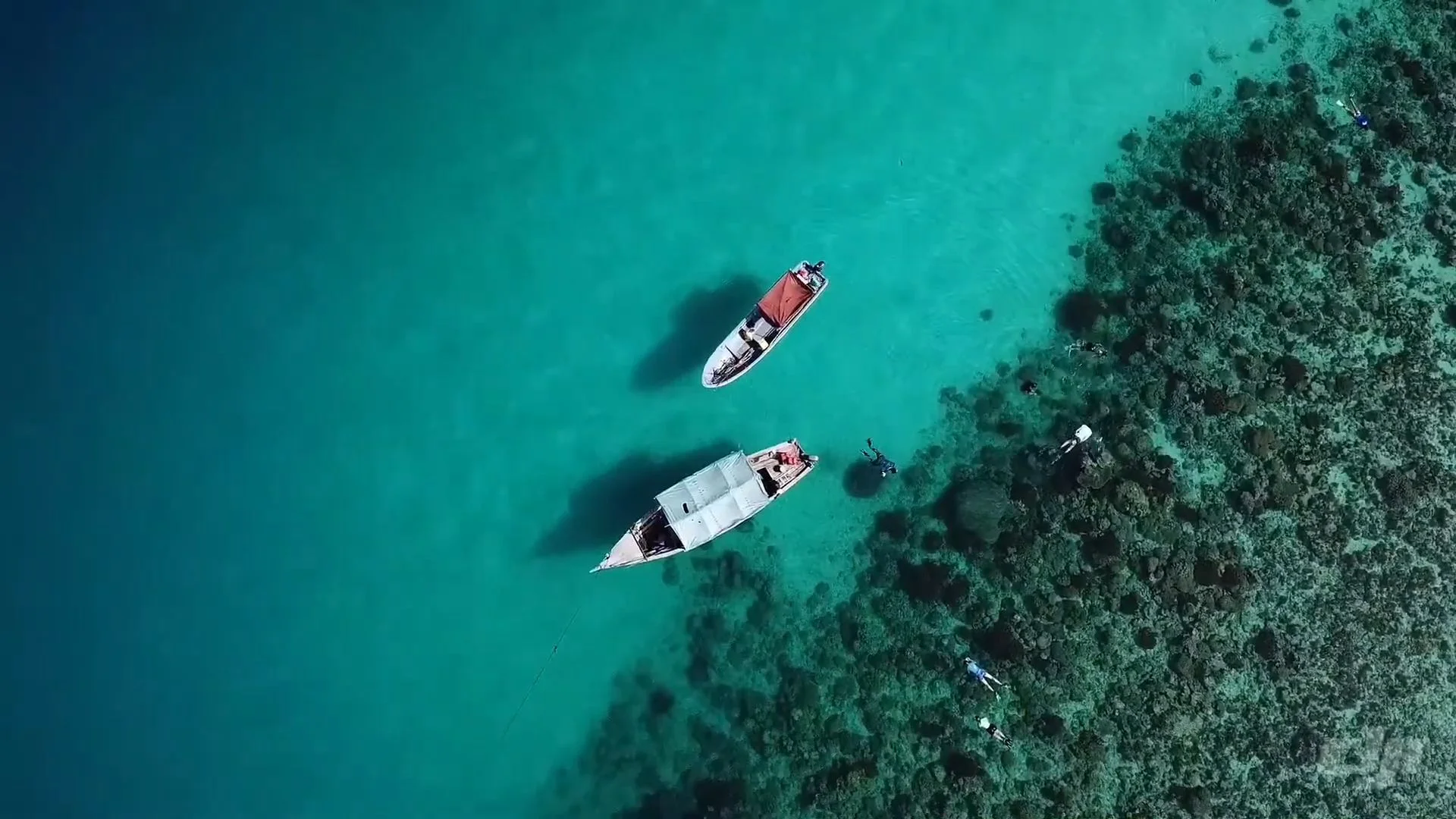 Maziwe Island Marine Reserve – photo 11