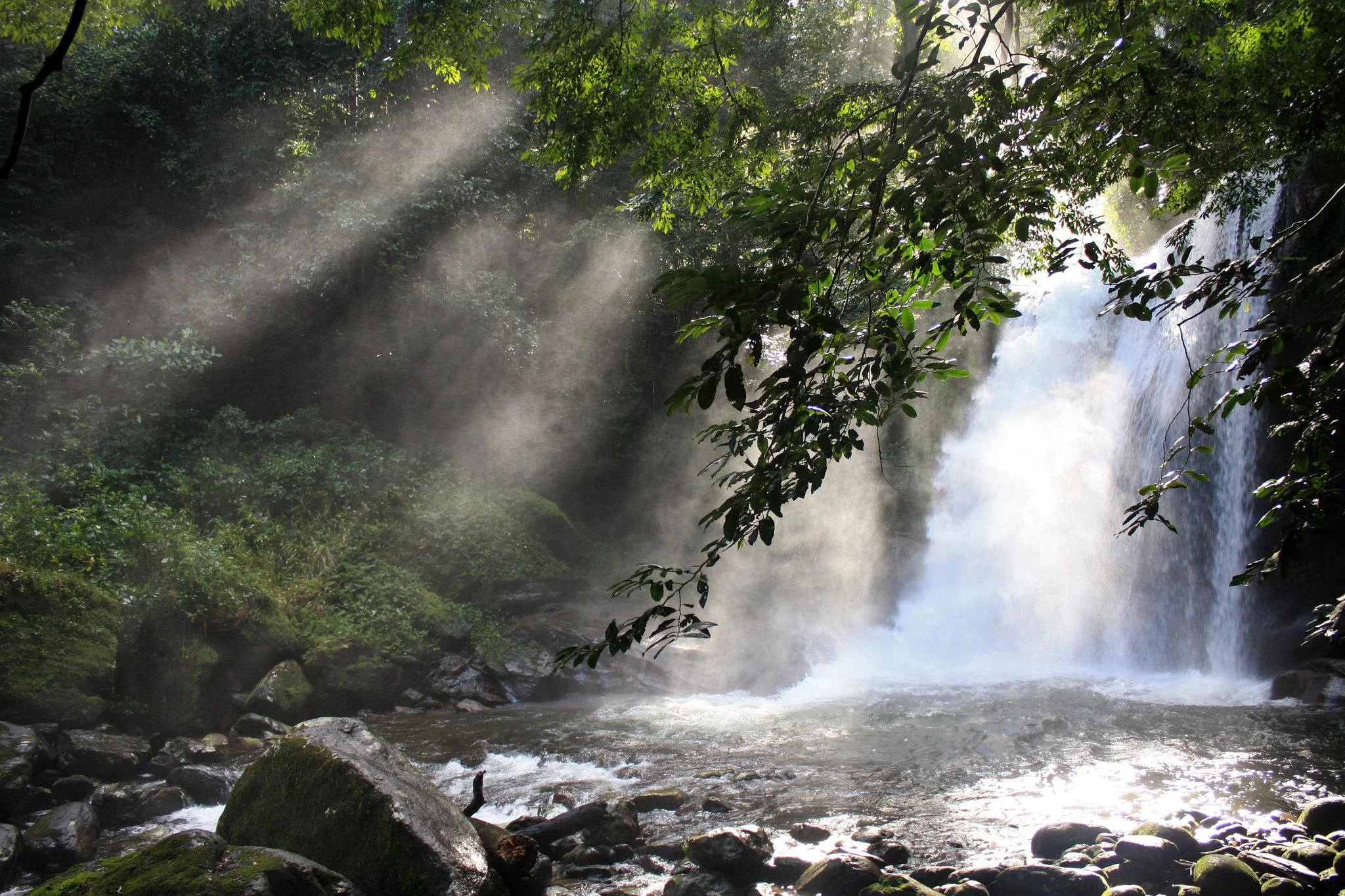 Udzungwa Mountains National Park – photo 13