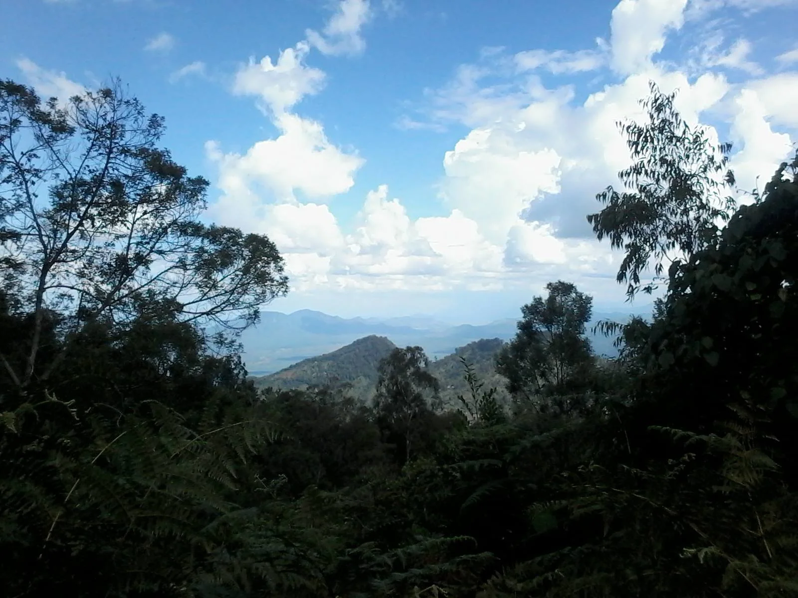 Pare Mountains – photo 5
