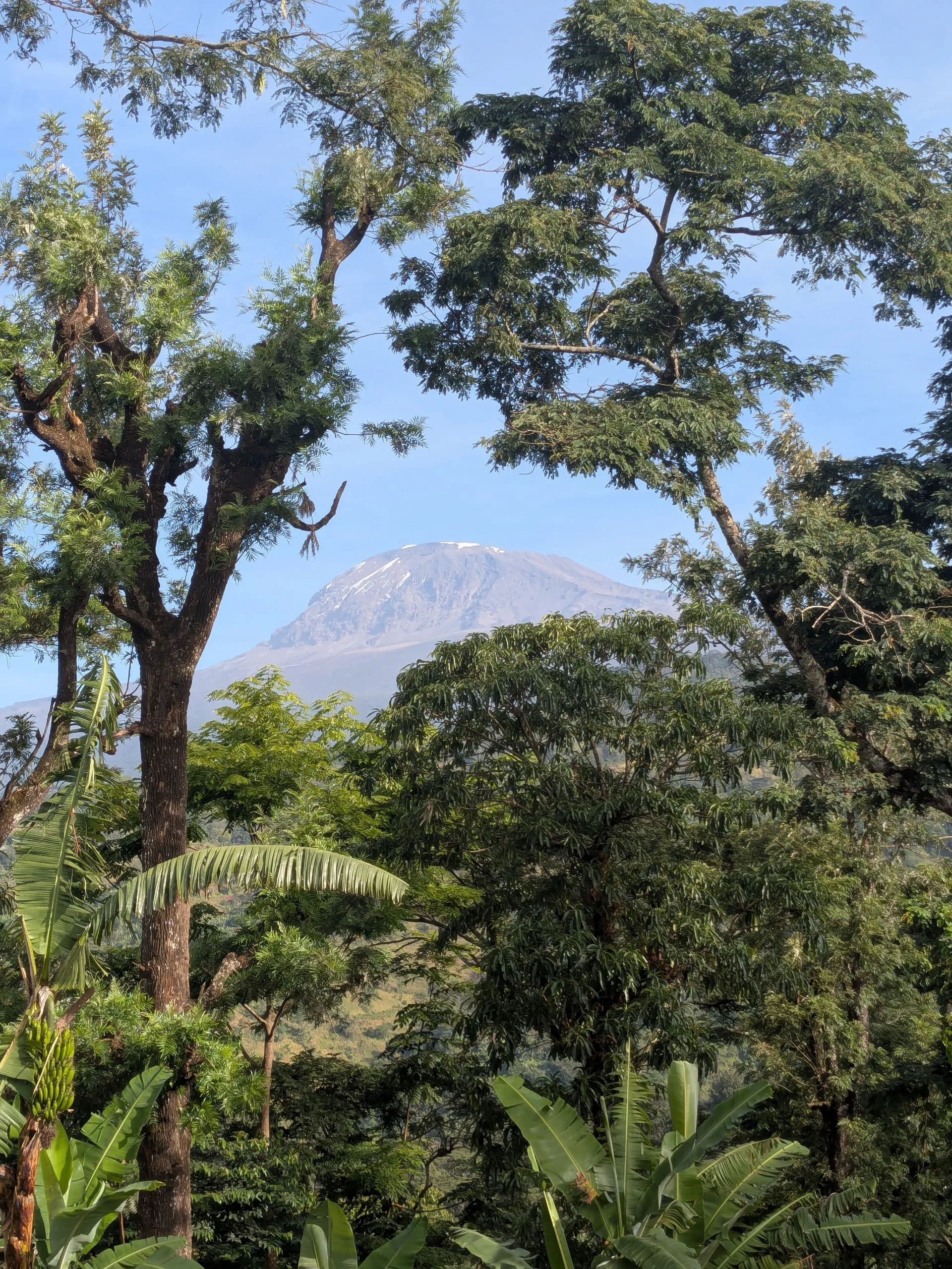 Mount Kilimanjaro