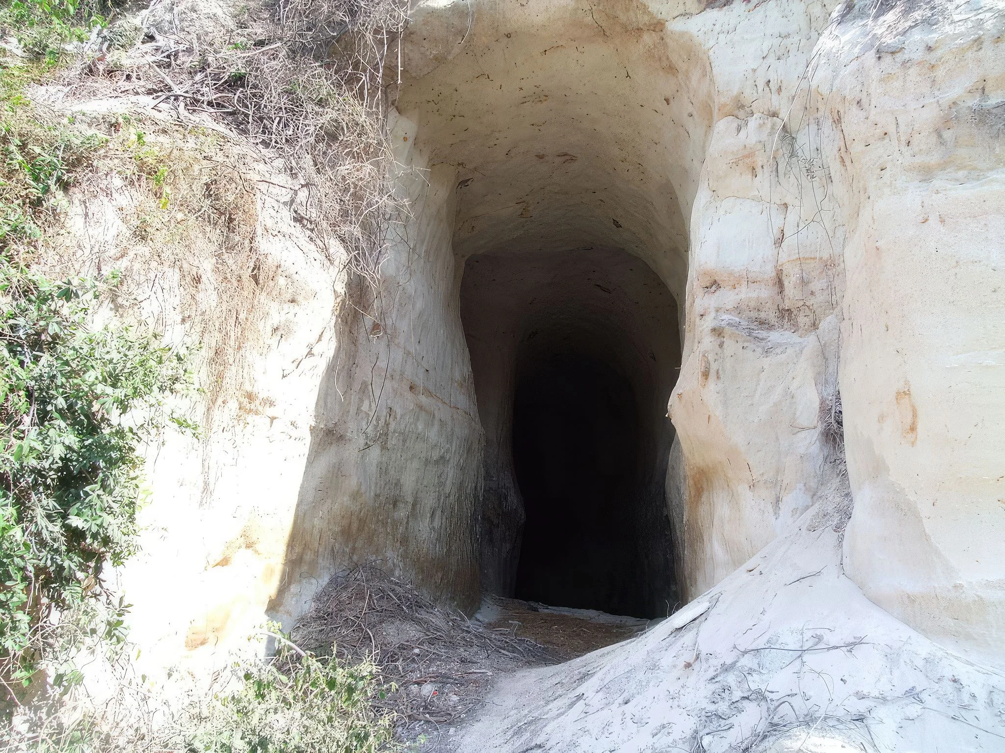 Pugu Kazimzumbwi Nature Forest Reserve – photo 49