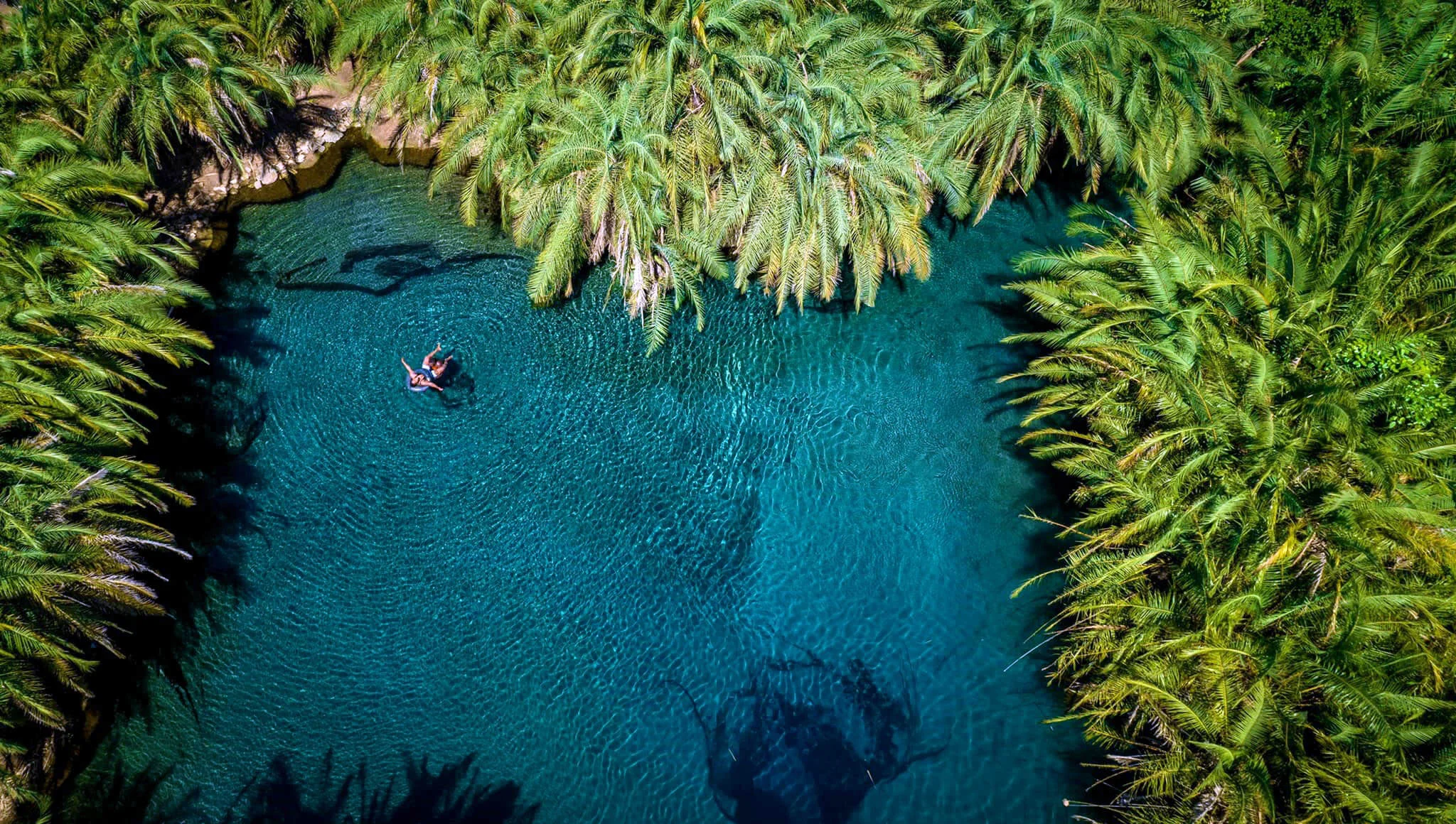 Aerial top-down view of a bright blue spring hidden among dense palm trees and green vegetation.