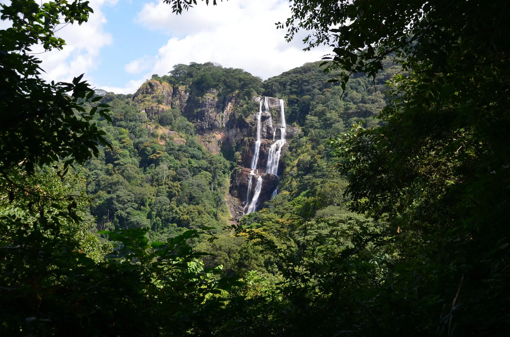 Udzungwa Mountains National Park – photo 11
