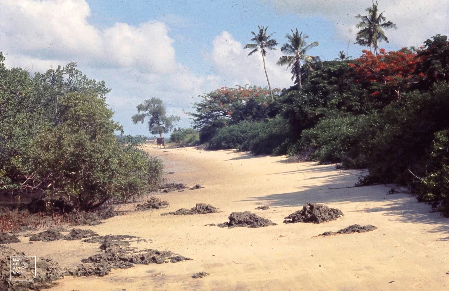 Pwani – photo 3