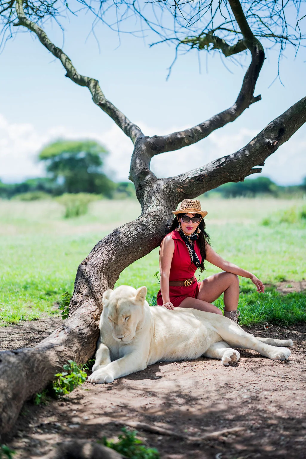 Serval Wildlife Sanctuary Tanzania