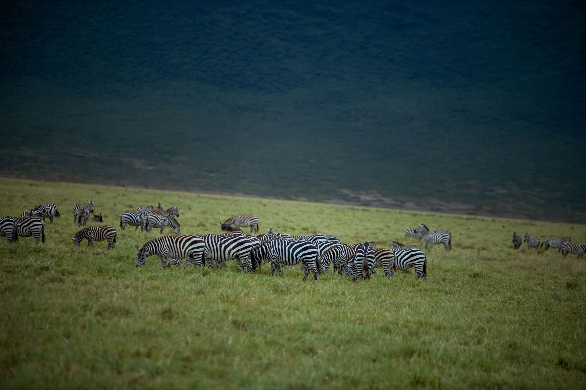 Ngorongoro Conservation Area
