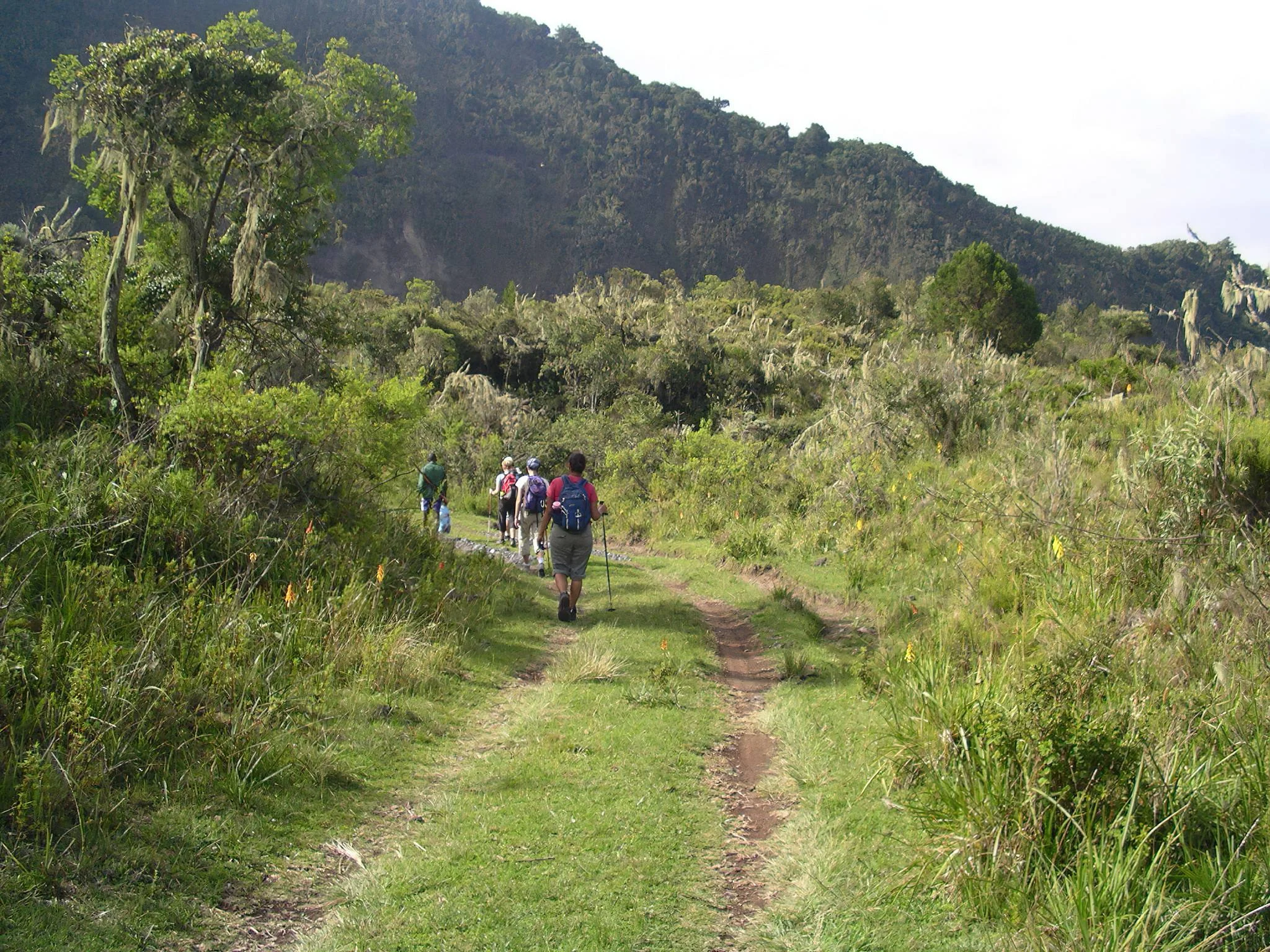 Mount Meru – photo 11
