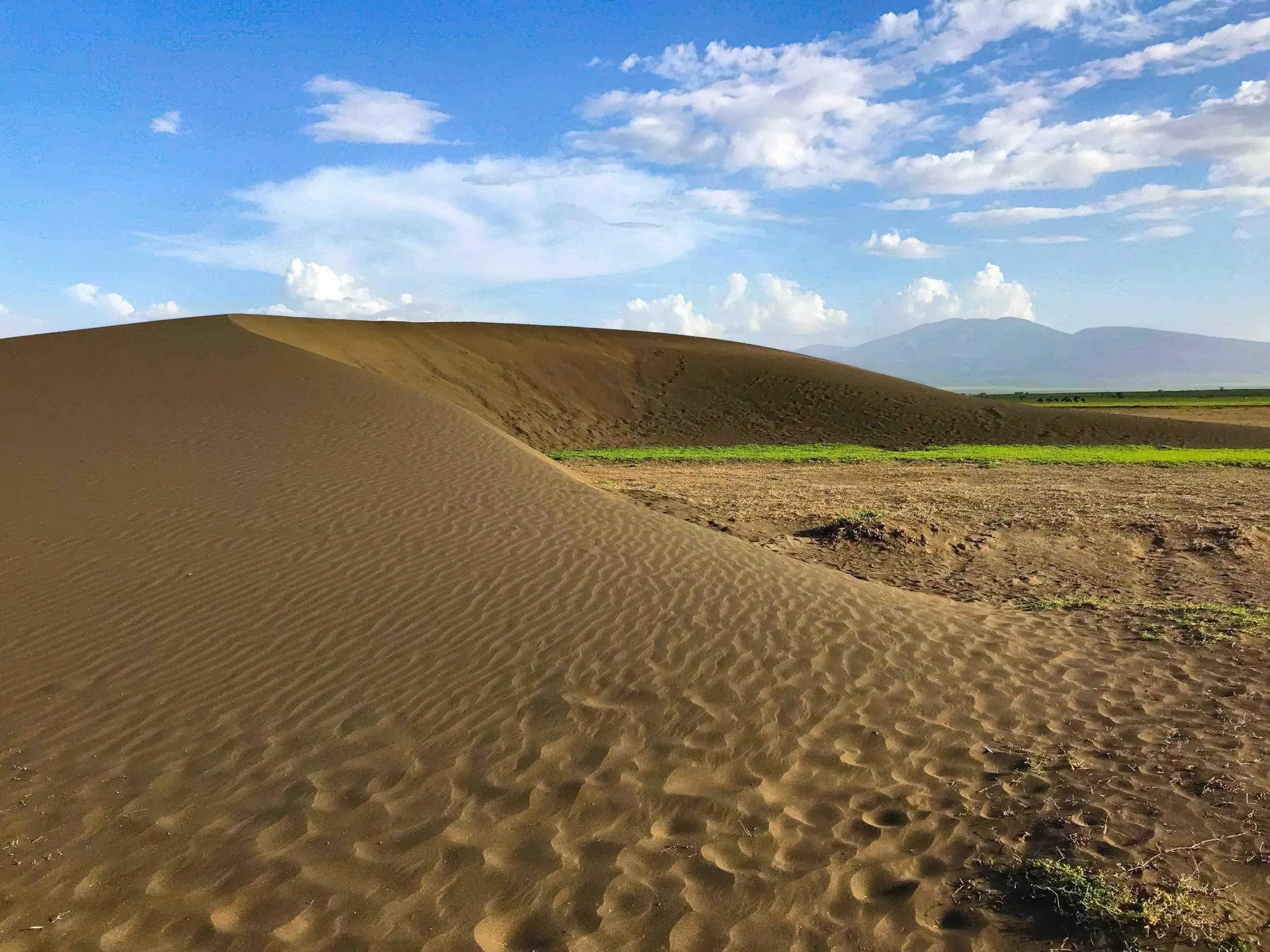 Shifting Sands – photo 12