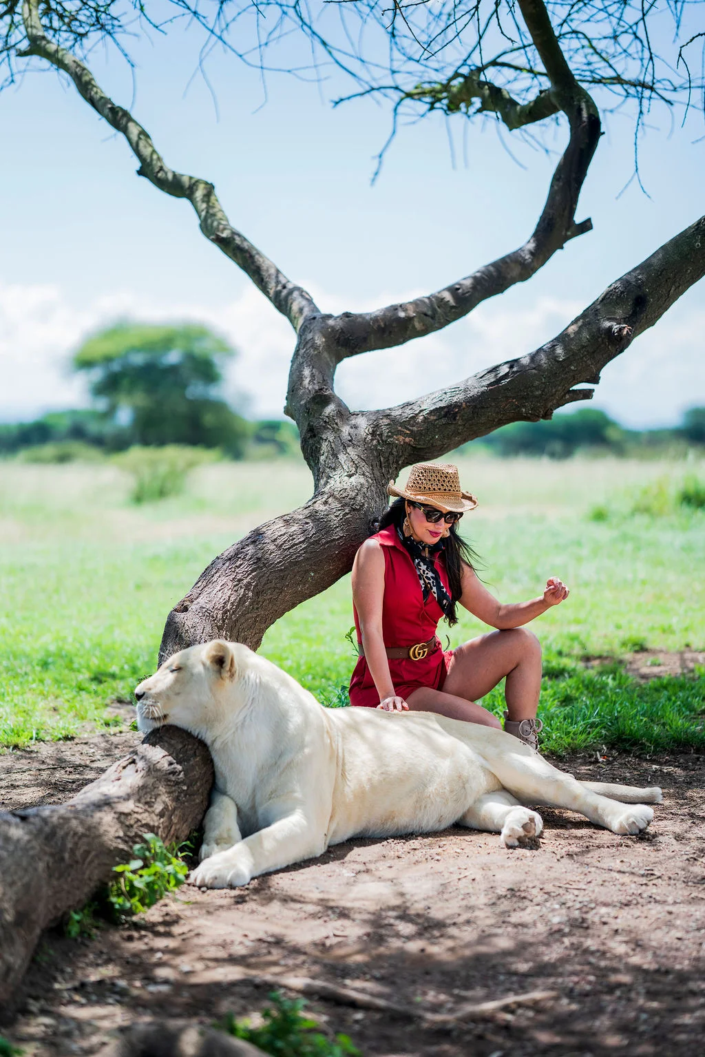 Serval Wildlife Sanctuary Tanzania