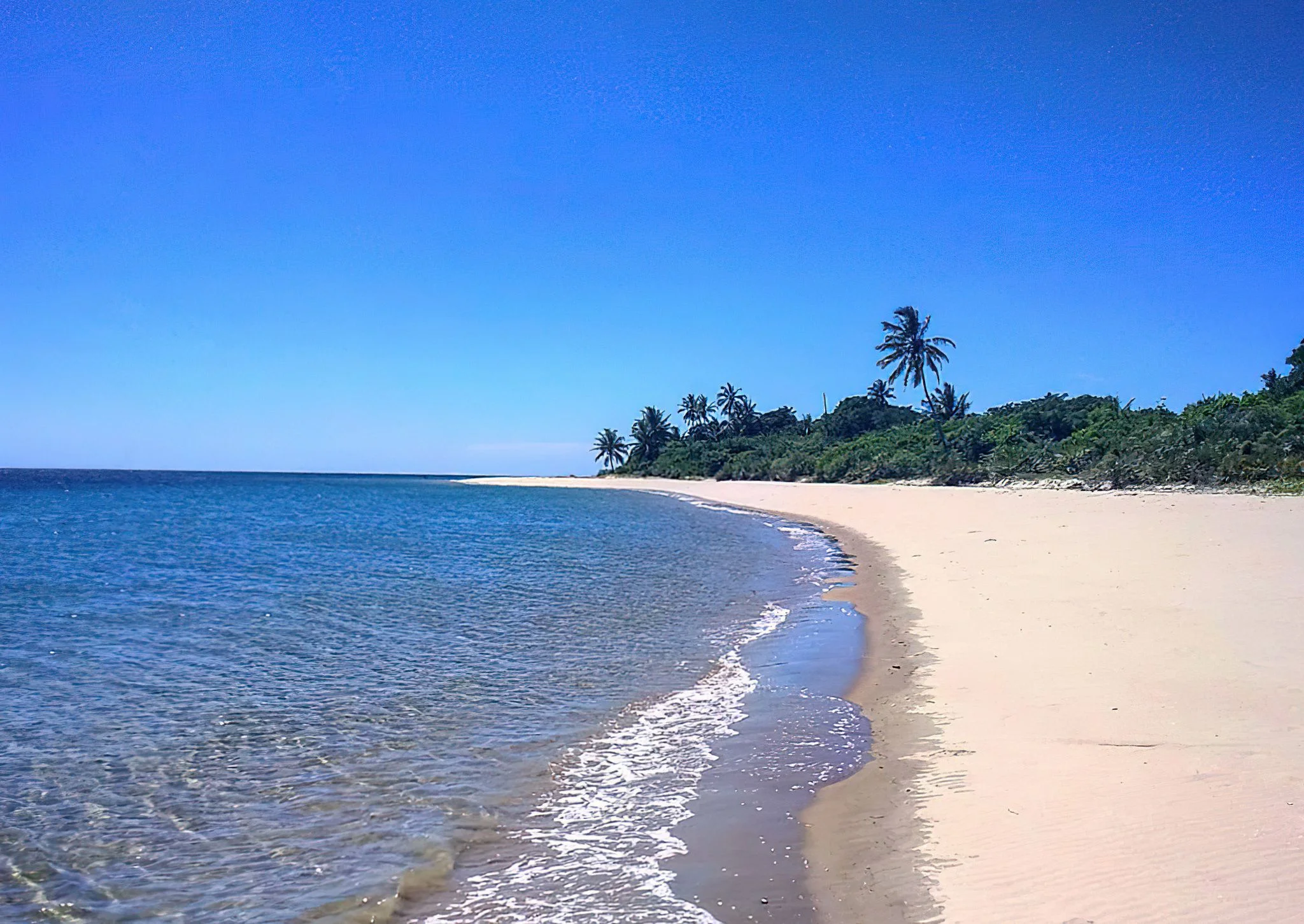 Mnazi Bay - Ruvuma Estuary Marine Park – photo 11