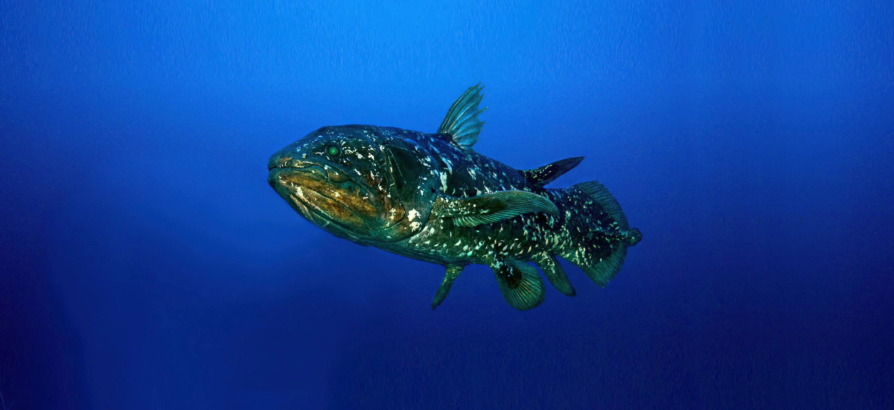 Tanga Marine Park & Reserves – photo 15