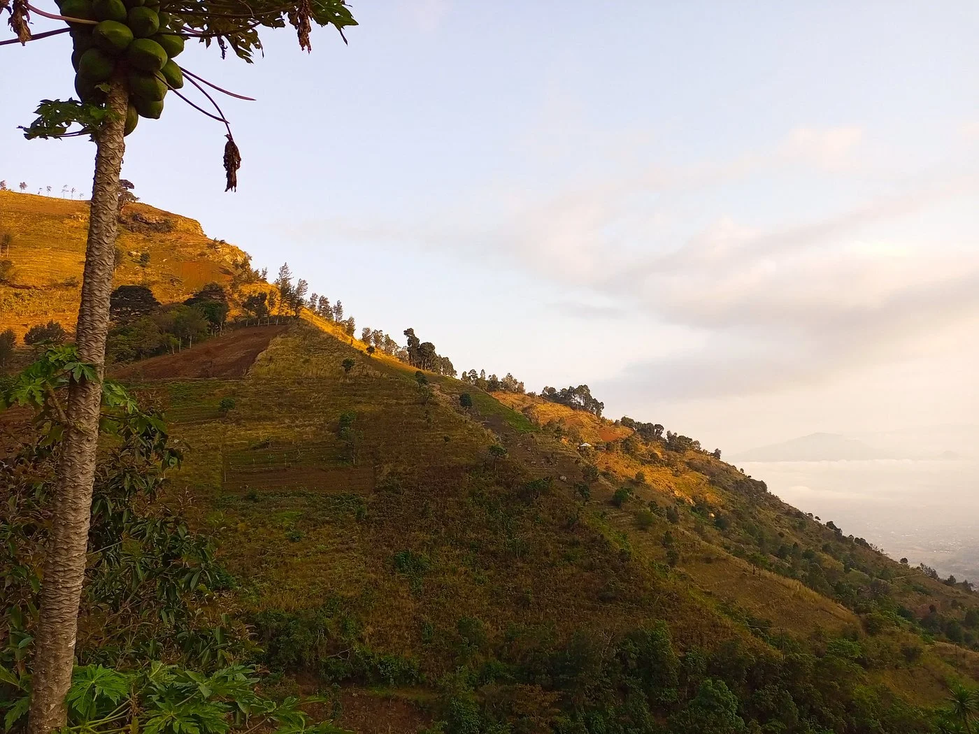 Uluguru Mountains – photo 12