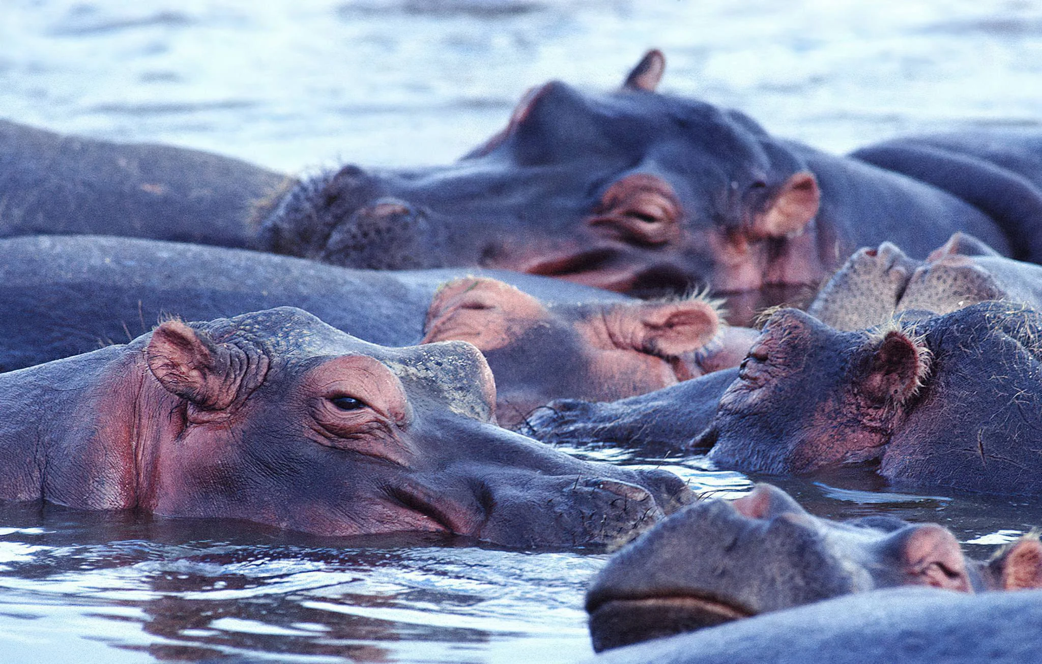 Ibanda-Kyerwa National Park – photo 16