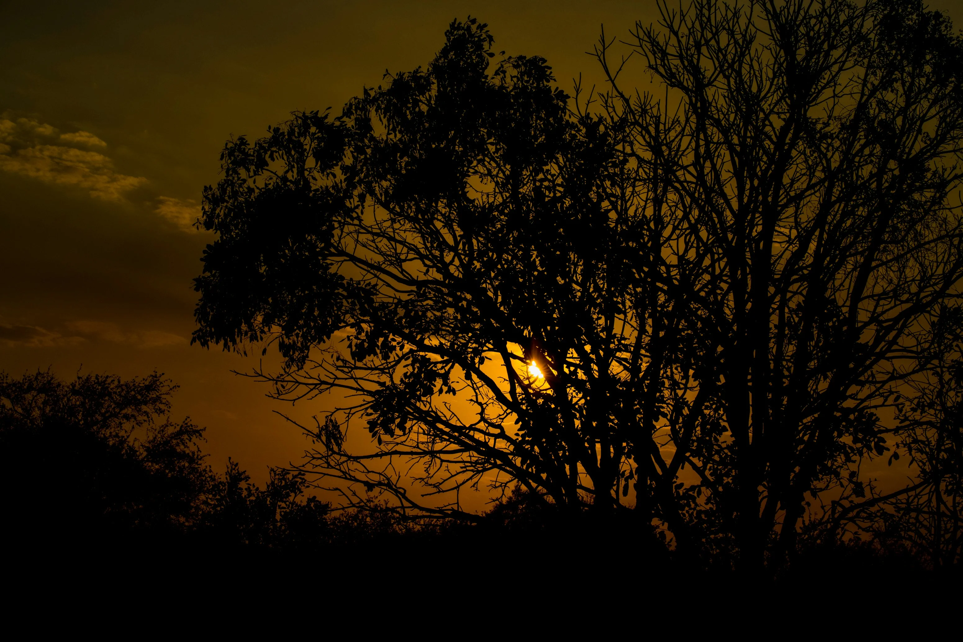 Mikumi National Park – photo 7