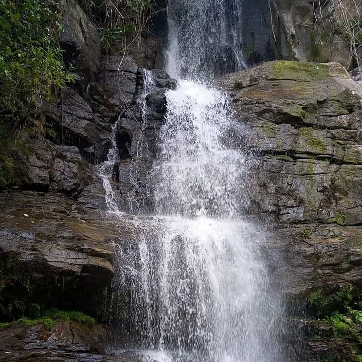 Uluguru Mountains – photo 11