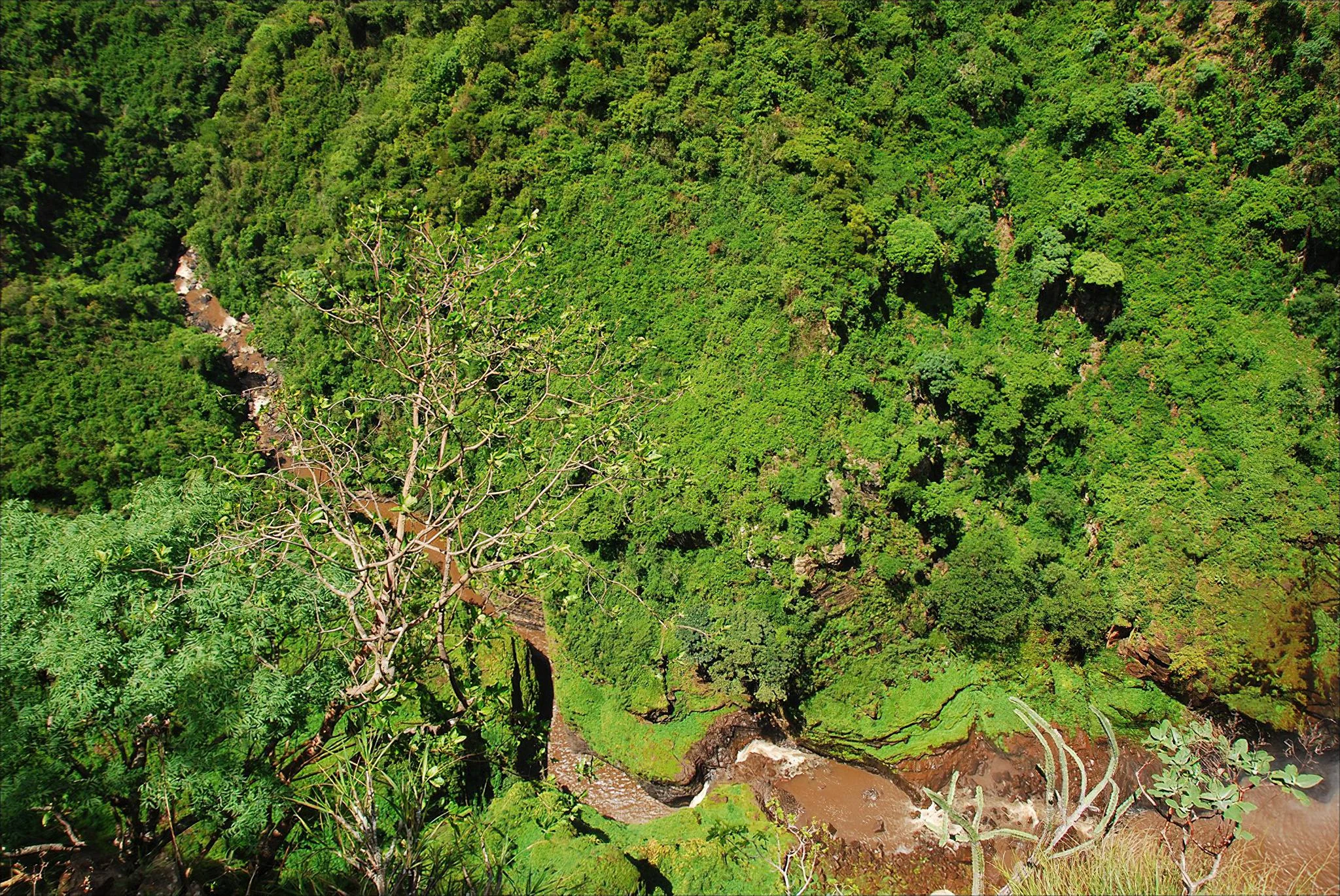 Kalambo Falls – photo 18