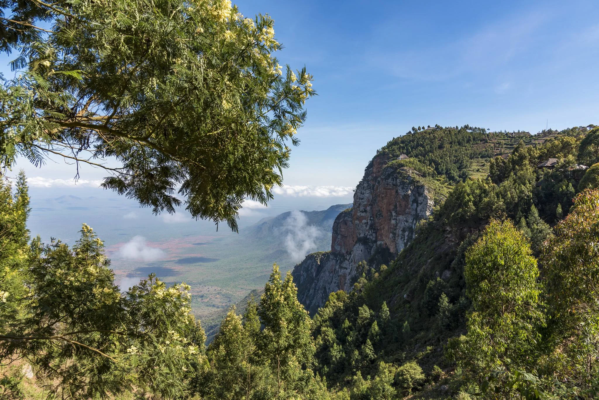 Usambara Mountains – photo 41