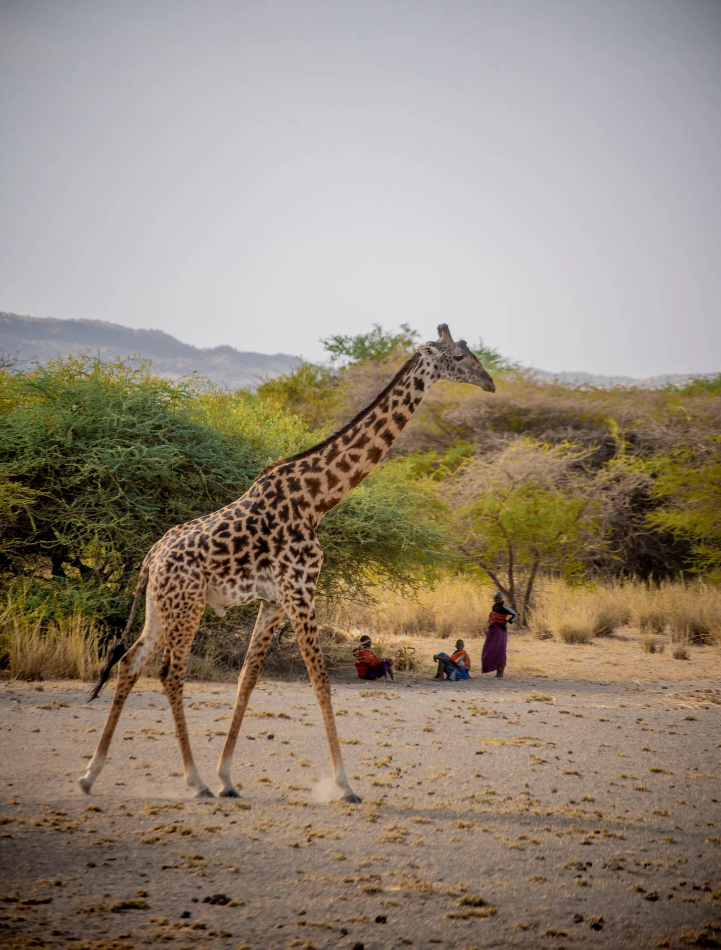 Lake Natron – photo 2