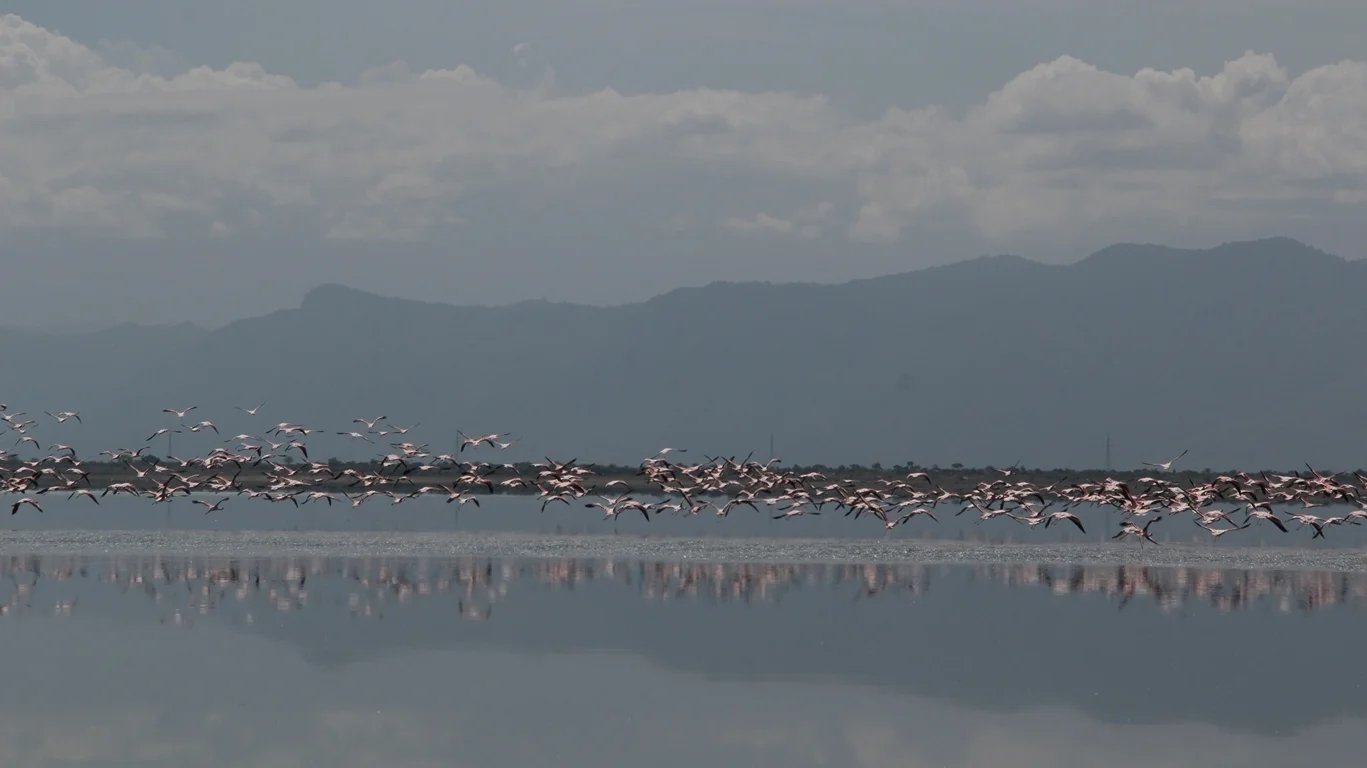 Lake Burunge – photo 3