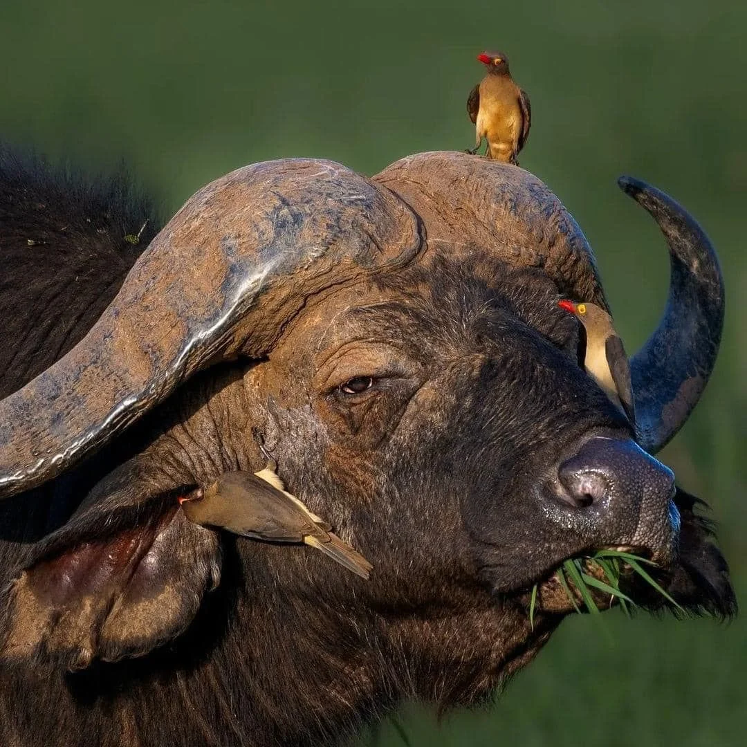 Serengeti National Park