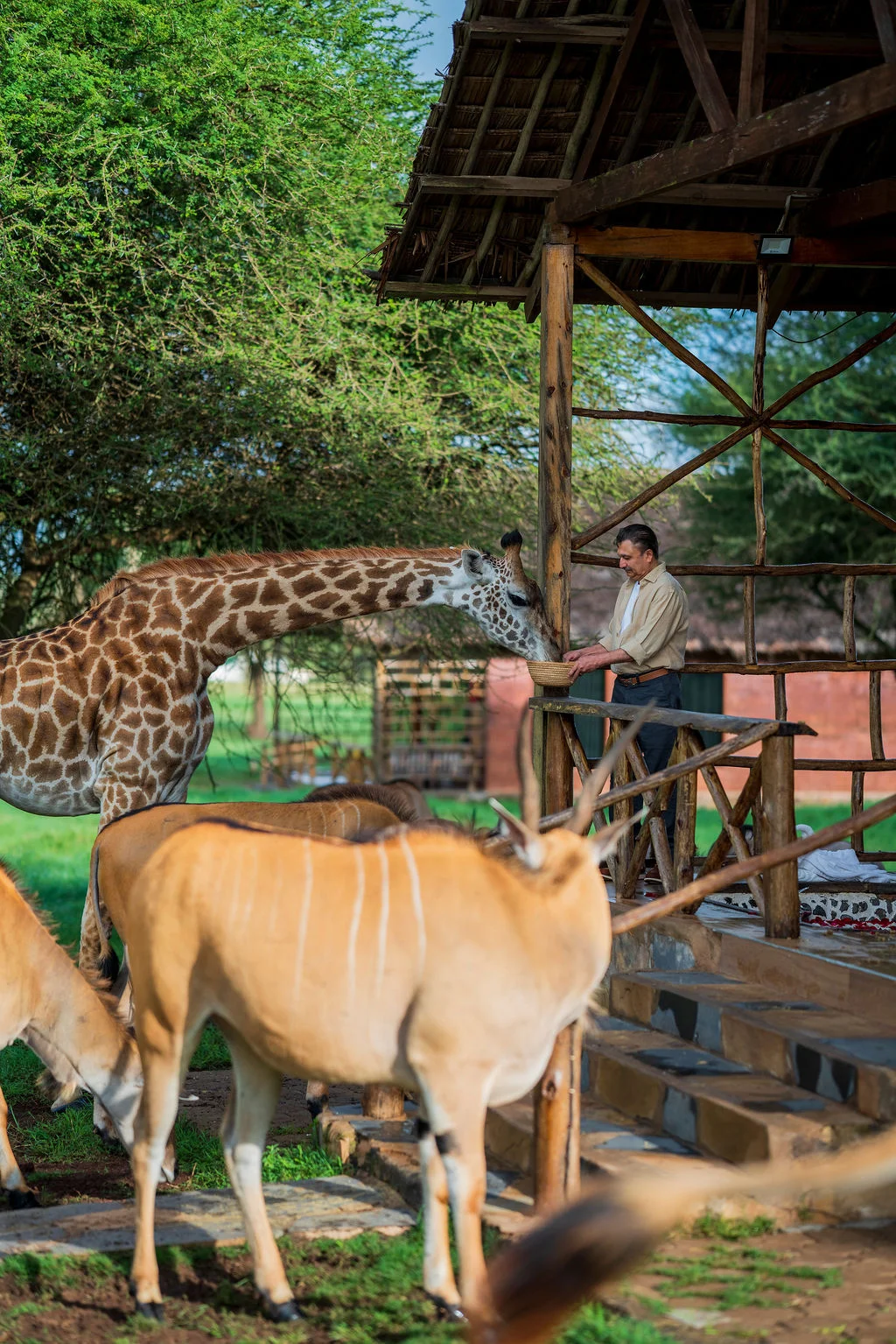 Serval Wildlife Sanctuary Tanzania
