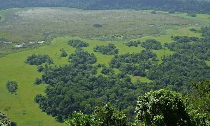 Ngurdoto Crater – photo 2