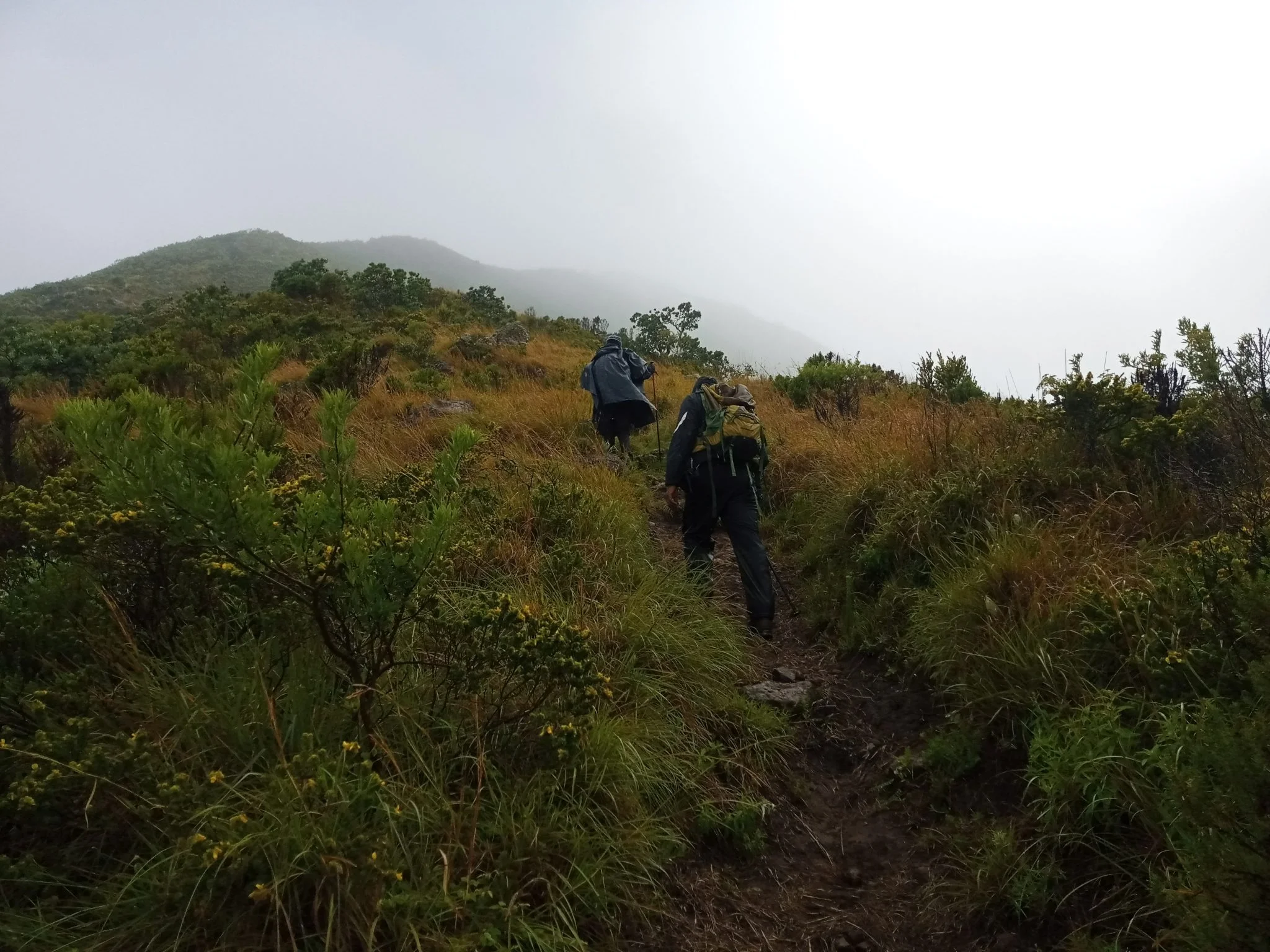 Mount Hanang – photo 14