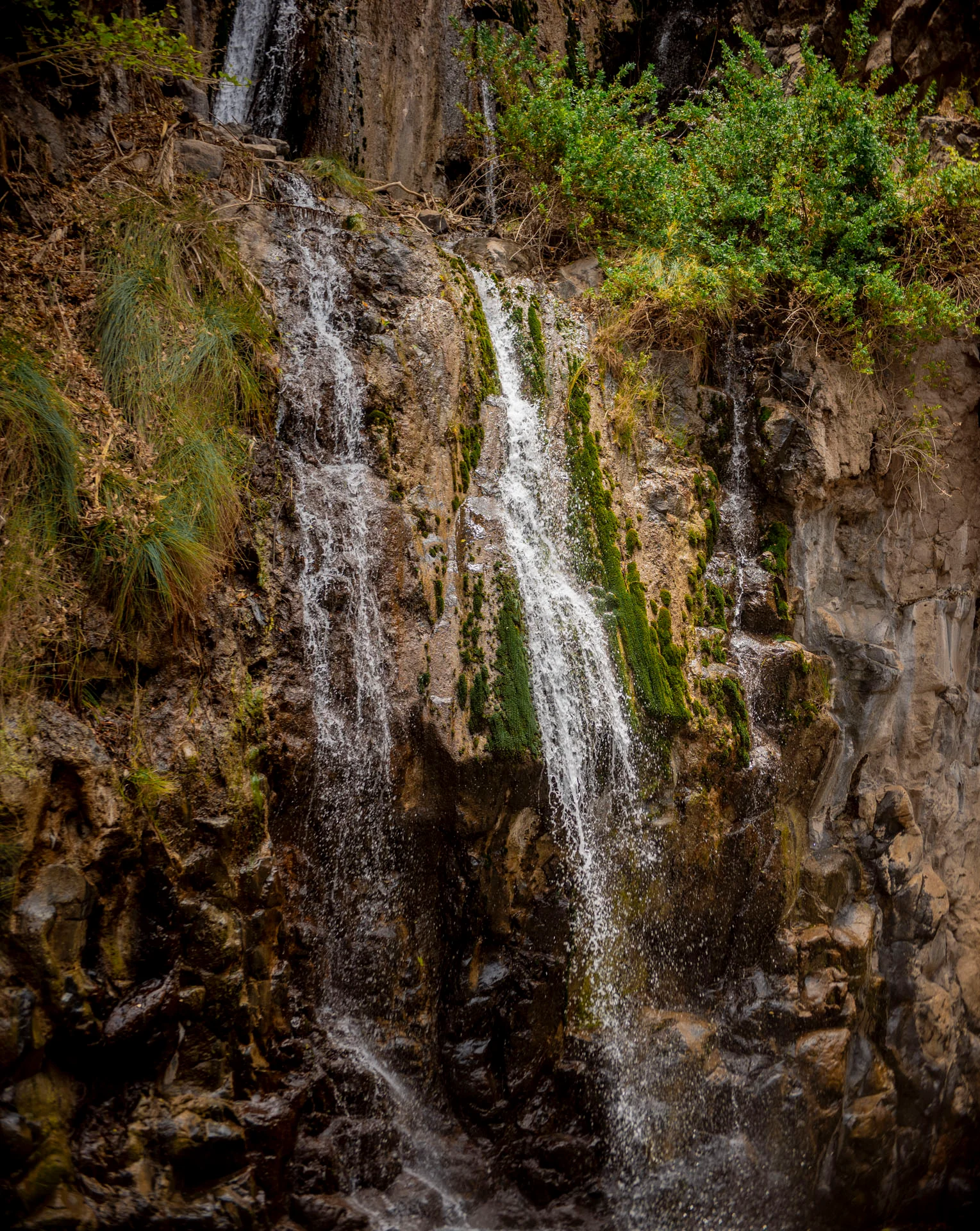Lake Natron – photo 3