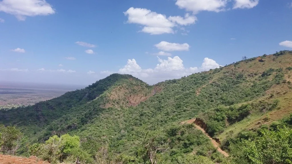 Pare Mountains – photo 4